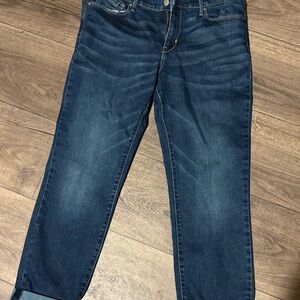 Denizen from Levi's Deep Indigo Cropped Jeans